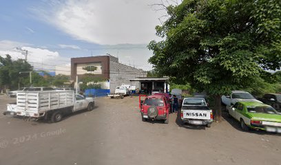 Negocio Servicio Eléctrico Automotriz 