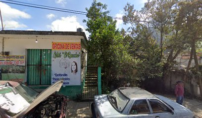 Negocio Servicio Eléctrico Juárez