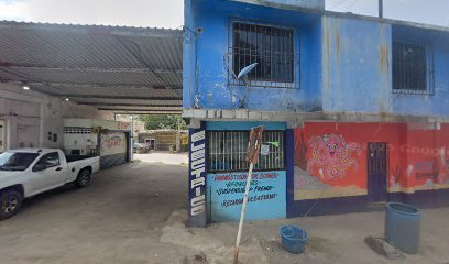 Negocio Servicio Electrico Mecanico Gcr