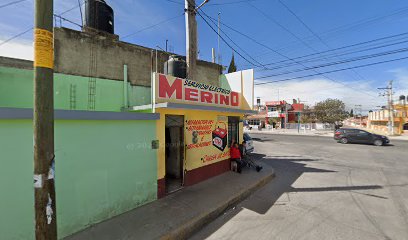 Negocio Servicio Electrico Merino