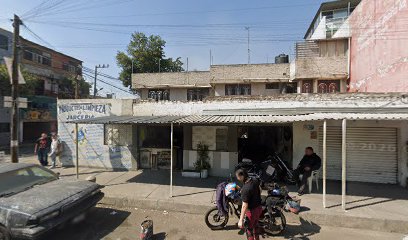 Servicio Electrico Palacios