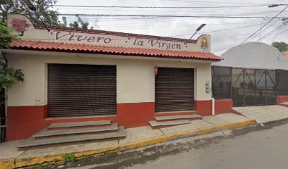 Negocio Servicio Electrico Reyes