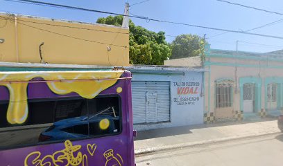 Negocio Servicio Eléctrico Vidal