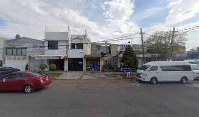 Servicio Electro Automotriz 