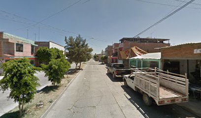 Negocio Servicio Tecnico Automotriz