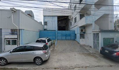 Negocio Servicios Electromecánicos Del Caribe S. A. De C. V.