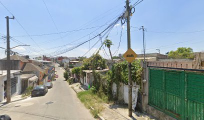 Negocio Servicios Electronicos
