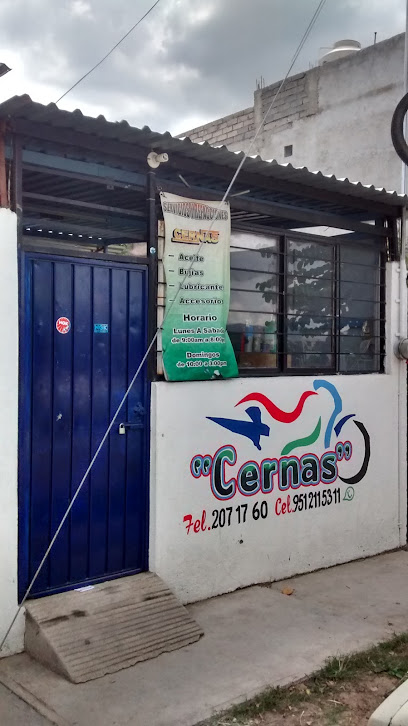 Negocio Servicios Y Refacciones Cernas