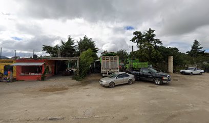 Negocio Taller Autoelectrico
