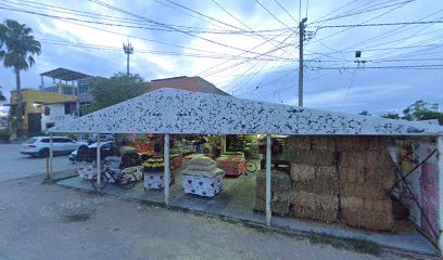 Negocio Taller Electrico Automotriz