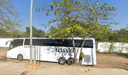 Negocio Taller Electrico Automotriz