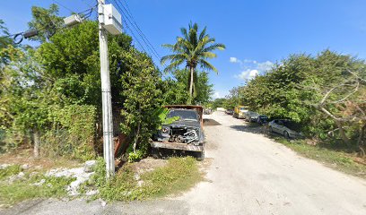 Negocio Taller Eléctrico Automotriz