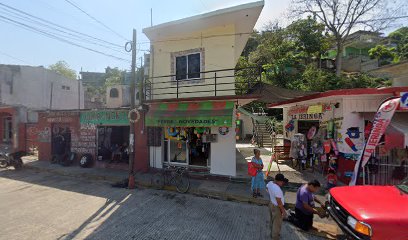 Negocio Taller Electrico Automotriz Diaz
