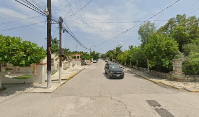 Negocio Taller Electrico Automotriz El Mante