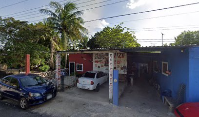 Negocio Taller Eléctrico Automotriz 