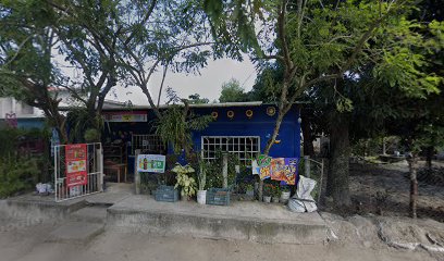 Negocio Taller Electrico Mwcanico