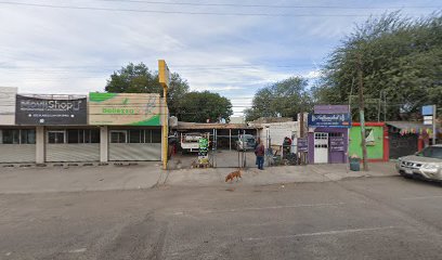 Taller Eléctrico Robles