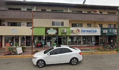 Taller Electrico Temsa
